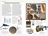 Fossils (DK Handbooks) - Retail Maharaj
