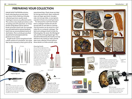 Fossils (DK Handbooks) - Retail Maharaj
