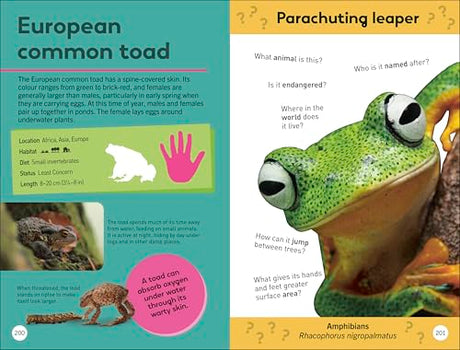 Quiz Yourself Clever! Animals of the World (DK Quiz Yourself Clever) - Retail Maharaj