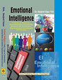 Emotional Intelligence: A Study of impact on Transformational Leadership Behaviour, Job Satisfaction, Organisational Commitment and Success - Retail Maharaj