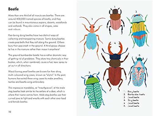 A Ladybird Book: Insects and Minibeasts - Retail Maharaj