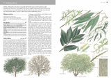 Collins Tree Guide: Domestic Life from Childbirth to Deathbed - Retail Maharaj