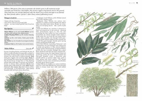 Collins Tree Guide: Domestic Life from Childbirth to Deathbed - Retail Maharaj