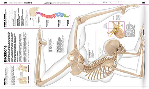 Knowledge Encyclopedia: Human Body!: Your Amazing Body As You've Never Seen It Before - Retail Maharaj
