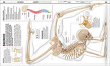 Knowledge Encyclopedia: Human Body!: Your Amazing Body As You've Never Seen It Before - Retail Maharaj