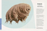 Ben Rothery's Weird and Wonderful Animals - Retail Maharaj