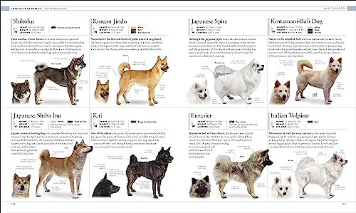 The Dog Encyclopedia: The Definitive Visual Guide - Retail Maharaj