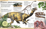 First Dinosaur Encyclopedia - Retail Maharaj