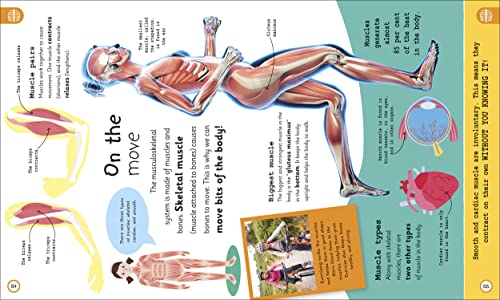 My Very Important Human Body Encyclopedia: For Little Learners Who Want to Know About Their Bodies - Retail Maharaj