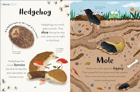 Bedtime Books: A Lovable Introduction to Animals and Dinosaurs - Retail Maharaj