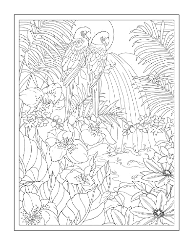 Creative Haven Tropical Wonders Coloring Book - Retail Maharaj