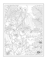 Creative Haven Tropical Wonders Coloring Book - Retail Maharaj