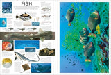 Eyewitness Encyclopedia Poster Book: More Than 30 Reversible Tear-Out Posters (DK Eyewitness) - Retail Maharaj