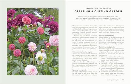 The Money-Saving Garden Year: A Month-by-month Guide to a Great Garden that Costs Less - Retail Maharaj