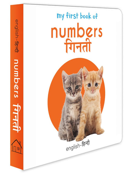 My First Book of Numbers – Ginti (English–Hindi) | Bilingual Number Board Book for Kids | Learn 1–20 in English & Hindi with Bright Illustrations & Clear Translations | Durable Early Learning Board Book for Toddlers & Preschoolers | Ages 2–5 Years - Retail Maharaj