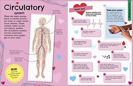 The Fact-Packed Activity Book: Human Body - Retail Maharaj