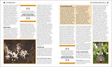 The Sherlock Holmes Book: Big Ideas Simply Explained - Retail Maharaj