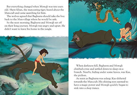 Disney The Jungle Book - Retail Maharaj