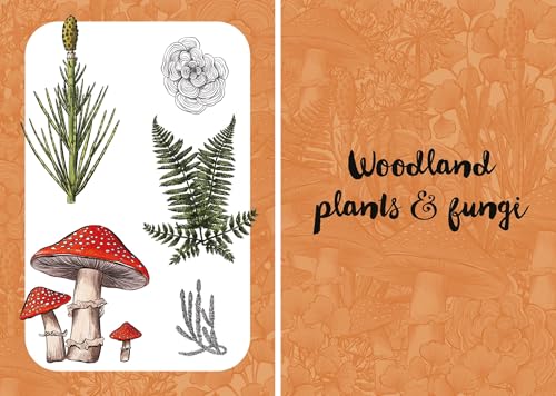 Botanicals: Draw over 50 Plants in 10 Easy Steps (10 Step Drawing) - Retail Maharaj