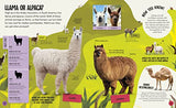 What's the Difference? Animals: Spot the difference in the animal kingdom! - Retail Maharaj