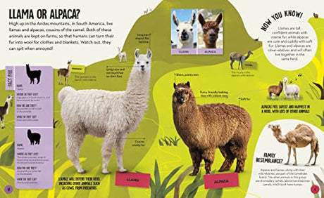 What's the Difference? Animals: Spot the difference in the animal kingdom! - Retail Maharaj