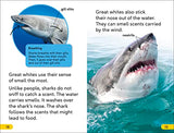 DK Super Readers Level 2 Great White Sharks - Retail Maharaj