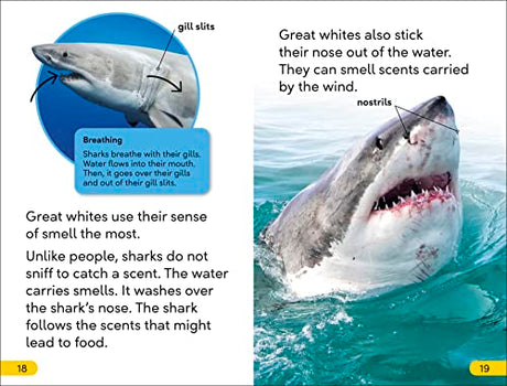 DK Super Readers Level 2 Great White Sharks - Retail Maharaj