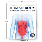 Human Body - Stomach And Digestive System: Knowledge Encyclopedia For Children - Retail Maharaj