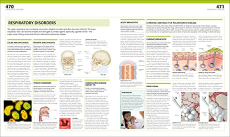 The Complete Human Body: The Definitive Visual Guide - Retail Maharaj