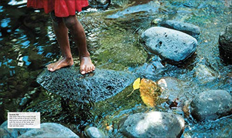 Photography: A Visual Companion - Retail Maharaj