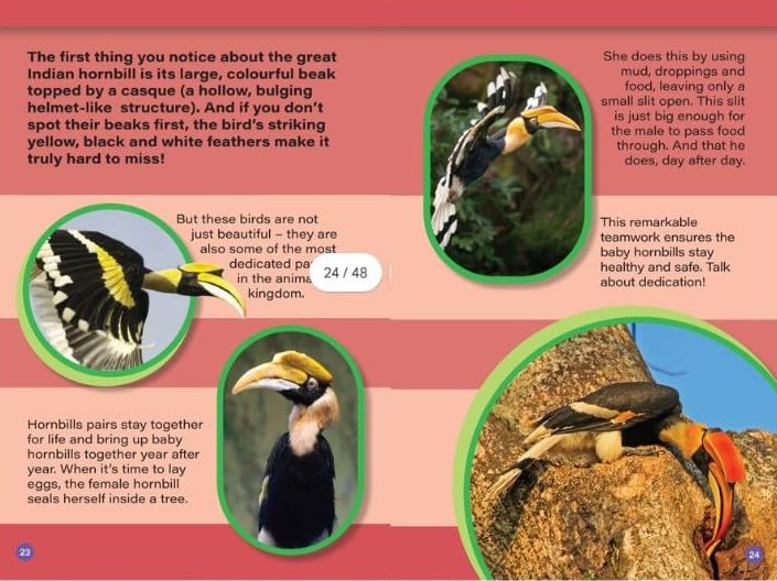 INDIA’S MOST UNUSUAL ANIMALS : Wild About India - Engaging Book for Kids (Ages 5-15) - Fun Facts, Trivia Questions and Answers to Teach Your Children about the Animal Kingdom - Retail Maharaj