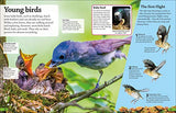 DKfindout! Birds - Retail Maharaj