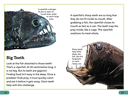 DK Super Readers Level 3 Deep-Sea Creatures - Retail Maharaj