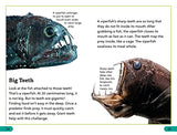 DK Super Readers Level 3 Deep-Sea Creatures - Retail Maharaj