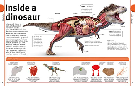 The Dinosaur Book: Our World in Pictures - Retail Maharaj