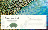 An Anthology of Exquisite Birds - Retail Maharaj