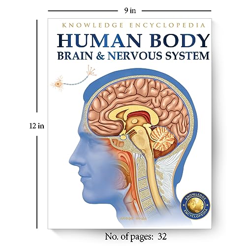 Human Body - Brain And Nervous System: Knowledge Encyclopedia For Children - Retail Maharaj