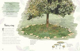 An Anthology of Fungi: A Collection of 100 Mushrooms, Toadstools and Other Fungi - Retail Maharaj