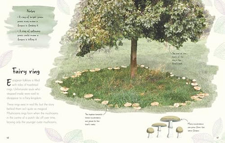 An Anthology of Fungi: A Collection of 100 Mushrooms, Toadstools and Other Fungi - Retail Maharaj