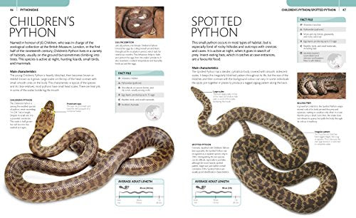 Snake: The Essential Visual Guide - Retail Maharaj