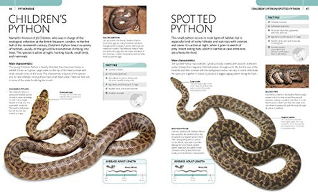 Snake: The Essential Visual Guide - Retail Maharaj
