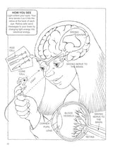 My First Book about Physics - Retail Maharaj