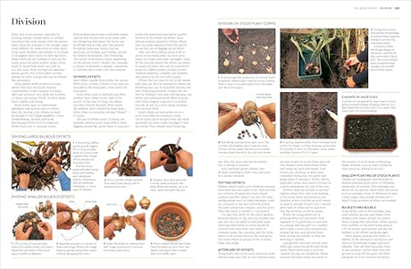 RHS Propagating Plants: How to Grow Plants for Free - Retail Maharaj