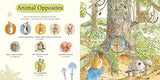 What Can You See Peter?: Very Big Lift the Flap Book (Peter Rabbit Baby Books) - Retail Maharaj