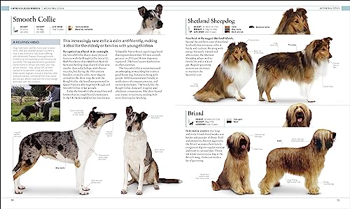 The Dog Encyclopedia: The Definitive Visual Guide - Retail Maharaj