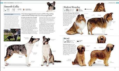 The Dog Encyclopedia: The Definitive Visual Guide - Retail Maharaj
