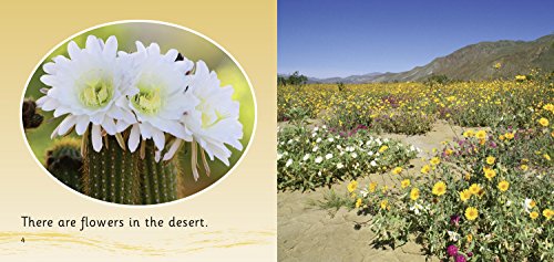 In The Desert: Band 01B/Pink B Heddle, Rebecca - Retail Maharaj