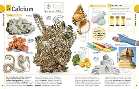 The Periodic Table Book: A Visual Encyclopedia of the Elements | An Illustrated Periodic Table for Kids | Explore Properties, Uses, Fun Facts, and Simple Explanations of All 118 Chemical Elements - Retail Maharaj