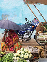 Tasting India - Retail Maharaj