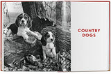Walter Chandoha. Dogs. Photographs 1941-1991 - Retail Maharaj